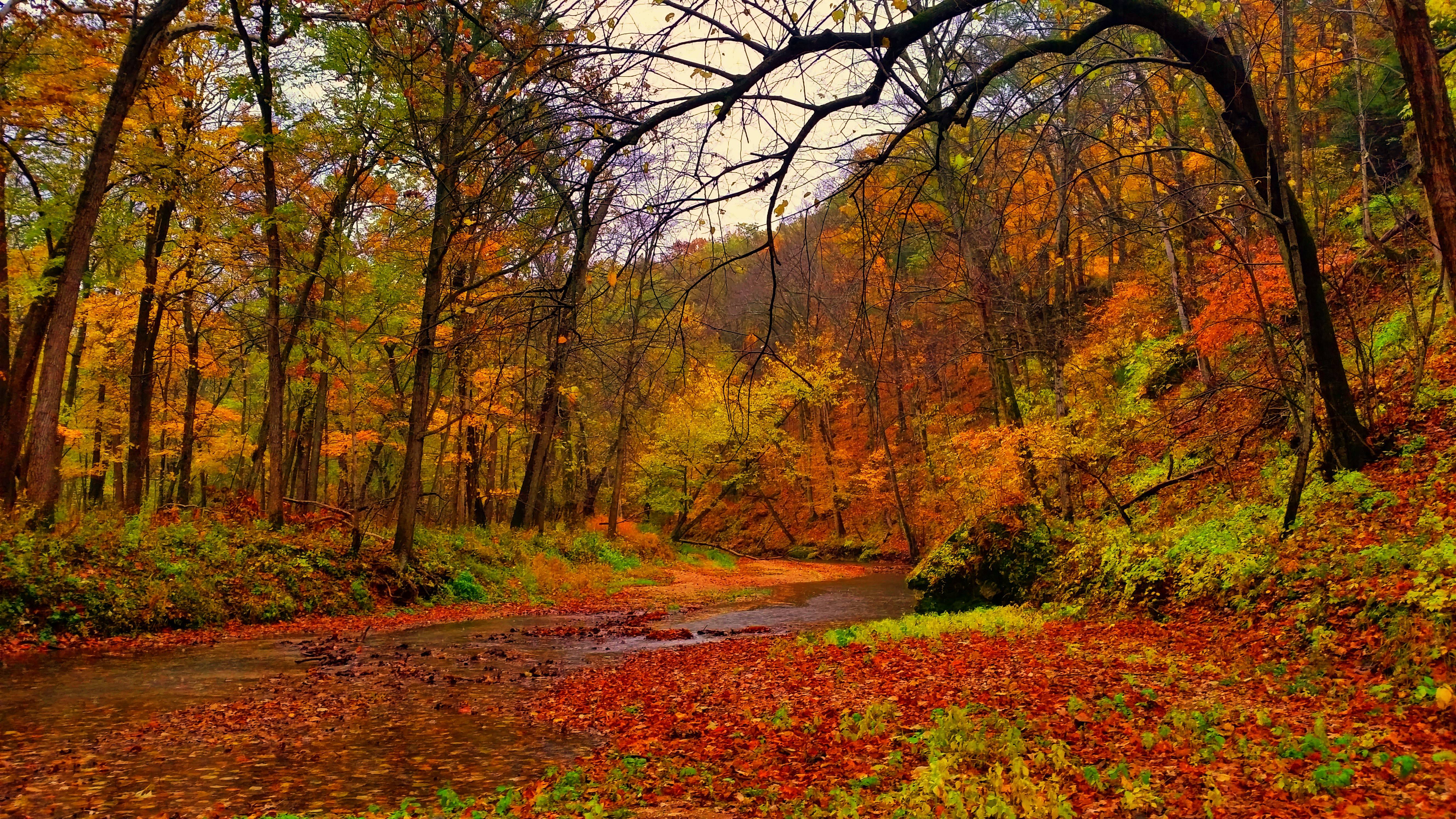 Backbone State Park Iowa