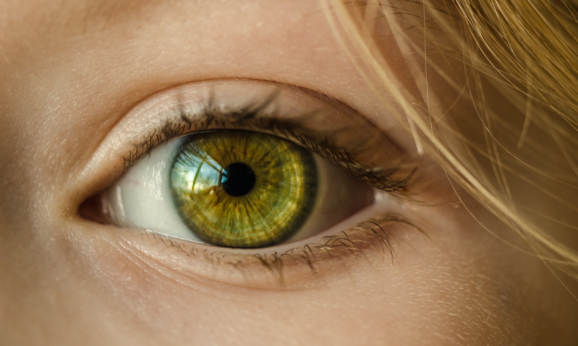 Close-up Female Yellow Eye.